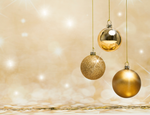 The Introverts’ Social Survival Guide – for Christmas and Beyond