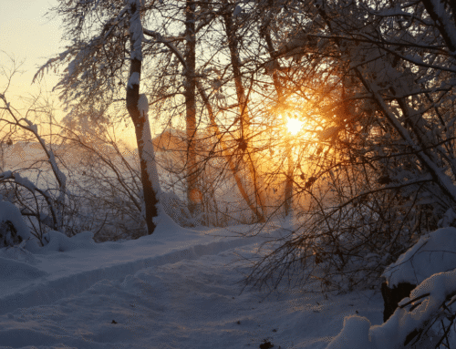 The Art of Wintering: Finding Treasure in the Depths