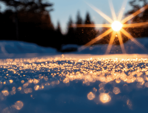 Find Your Glimmers: Tiny Moments of Joy and Calm in Difficult Times